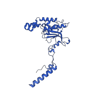 16880_8ohd_LD_v1-2
60S ribosomal subunit bound to the E3-UFM1 complex - state 3 (native)