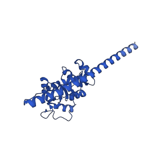 16880_8ohd_LF_v1-2
60S ribosomal subunit bound to the E3-UFM1 complex - state 3 (native)