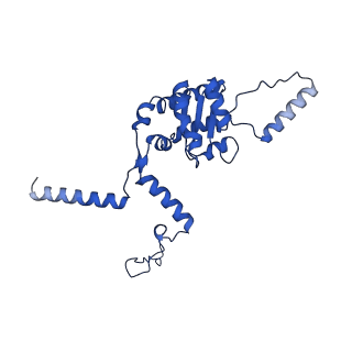 16880_8ohd_LG_v1-2
60S ribosomal subunit bound to the E3-UFM1 complex - state 3 (native)