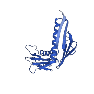 16880_8ohd_LH_v1-2
60S ribosomal subunit bound to the E3-UFM1 complex - state 3 (native)