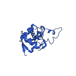 16880_8ohd_LJ_v1-2
60S ribosomal subunit bound to the E3-UFM1 complex - state 3 (native)