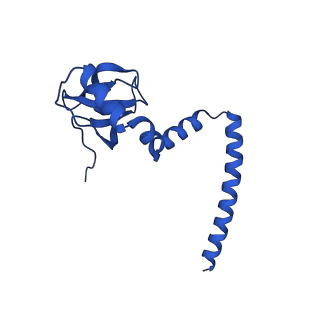 16880_8ohd_LM_v1-2
60S ribosomal subunit bound to the E3-UFM1 complex - state 3 (native)