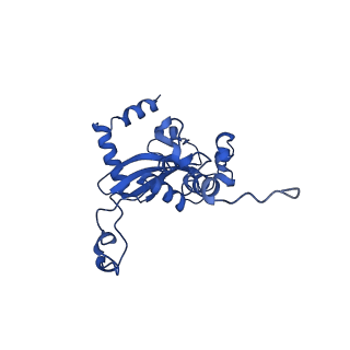 16880_8ohd_LN_v1-2
60S ribosomal subunit bound to the E3-UFM1 complex - state 3 (native)