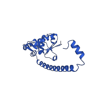 16880_8ohd_LO_v1-2
60S ribosomal subunit bound to the E3-UFM1 complex - state 3 (native)