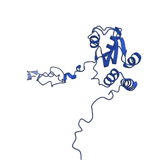 16880_8ohd_LQ_v1-2
60S ribosomal subunit bound to the E3-UFM1 complex - state 3 (native)