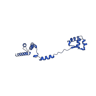 16880_8ohd_LR_v1-2
60S ribosomal subunit bound to the E3-UFM1 complex - state 3 (native)