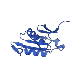 16880_8ohd_LU_v1-2
60S ribosomal subunit bound to the E3-UFM1 complex - state 3 (native)