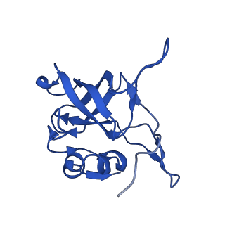 16880_8ohd_LV_v1-2
60S ribosomal subunit bound to the E3-UFM1 complex - state 3 (native)