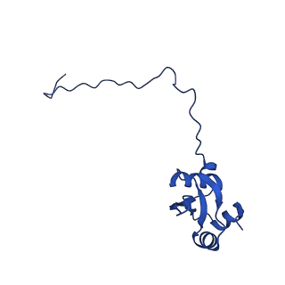 16880_8ohd_LX_v1-2
60S ribosomal subunit bound to the E3-UFM1 complex - state 3 (native)