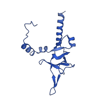 16880_8ohd_LY_v1-2
60S ribosomal subunit bound to the E3-UFM1 complex - state 3 (native)