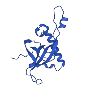 16880_8ohd_LZ_v1-2
60S ribosomal subunit bound to the E3-UFM1 complex - state 3 (native)