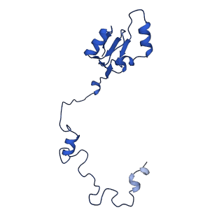 16880_8ohd_La_v1-2
60S ribosomal subunit bound to the E3-UFM1 complex - state 3 (native)