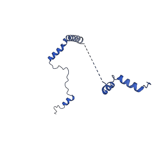 16880_8ohd_Lb_v1-2
60S ribosomal subunit bound to the E3-UFM1 complex - state 3 (native)