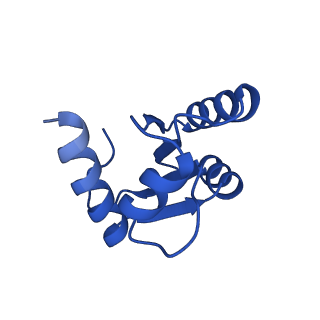 16880_8ohd_Lc_v1-2
60S ribosomal subunit bound to the E3-UFM1 complex - state 3 (native)