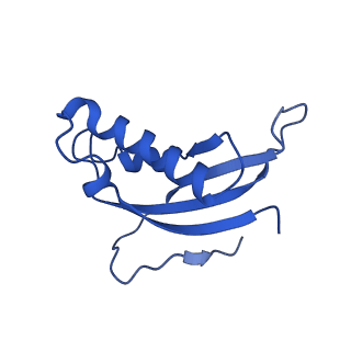 16880_8ohd_Ld_v1-2
60S ribosomal subunit bound to the E3-UFM1 complex - state 3 (native)