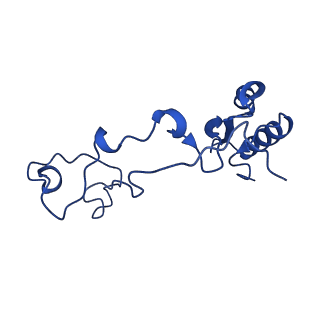 16880_8ohd_Le_v1-2
60S ribosomal subunit bound to the E3-UFM1 complex - state 3 (native)