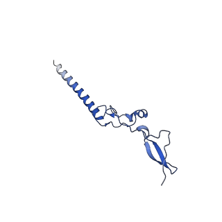 16880_8ohd_Lg_v1-2
60S ribosomal subunit bound to the E3-UFM1 complex - state 3 (native)