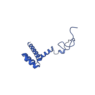 16880_8ohd_Li_v1-2
60S ribosomal subunit bound to the E3-UFM1 complex - state 3 (native)