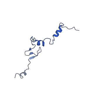 16880_8ohd_Lj_v1-2
60S ribosomal subunit bound to the E3-UFM1 complex - state 3 (native)