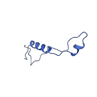 16880_8ohd_Ll_v1-2
60S ribosomal subunit bound to the E3-UFM1 complex - state 3 (native)