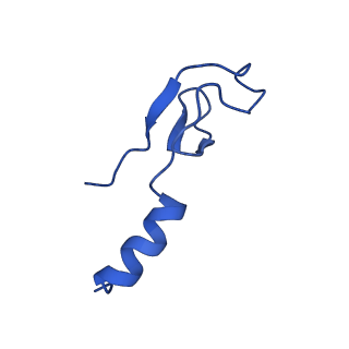 16880_8ohd_Lm_v1-2
60S ribosomal subunit bound to the E3-UFM1 complex - state 3 (native)