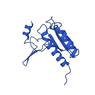 16880_8ohd_Lr_v1-2
60S ribosomal subunit bound to the E3-UFM1 complex - state 3 (native)