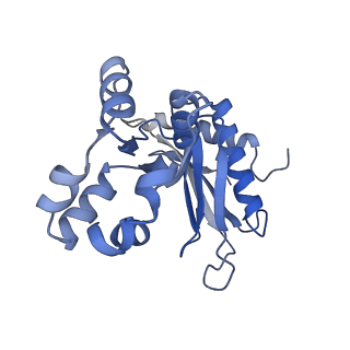 16880_8ohd_Lz_v1-2
60S ribosomal subunit bound to the E3-UFM1 complex - state 3 (native)