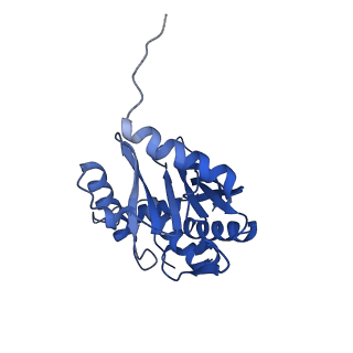 16884_8ohs_A_v1-1
Core-binding domain of fungal E3-binding domain bound to the native pyruvate dehydrogenase E2 core