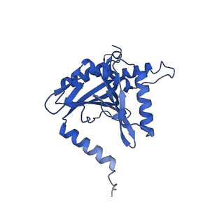 16884_8ohs_B_v1-1
Core-binding domain of fungal E3-binding domain bound to the native pyruvate dehydrogenase E2 core