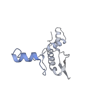 16884_8ohs_C_v1-1
Core-binding domain of fungal E3-binding domain bound to the native pyruvate dehydrogenase E2 core