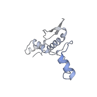 16884_8ohs_E_v1-1
Core-binding domain of fungal E3-binding domain bound to the native pyruvate dehydrogenase E2 core