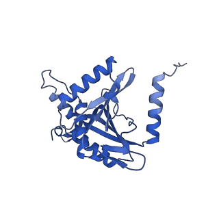 16884_8ohs_F_v1-1
Core-binding domain of fungal E3-binding domain bound to the native pyruvate dehydrogenase E2 core