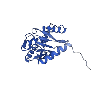 16884_8ohs_G_v1-1
Core-binding domain of fungal E3-binding domain bound to the native pyruvate dehydrogenase E2 core
