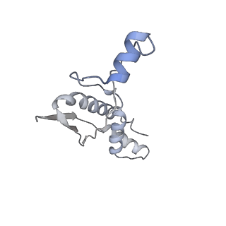 16884_8ohs_H_v1-1
Core-binding domain of fungal E3-binding domain bound to the native pyruvate dehydrogenase E2 core