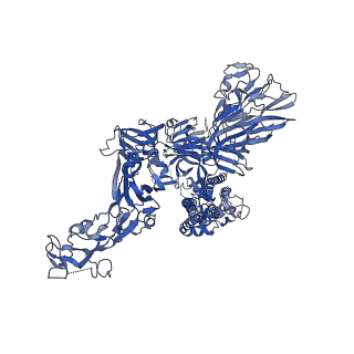 20070_6ohw_B_v1-2
Structural basis for human coronavirus attachment to sialic acid receptors. Apo-HCoV-OC43 S