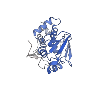 12916_7oi0_D_v1-0
E.coli delta rbfA pre-30S ribosomal subunit class D