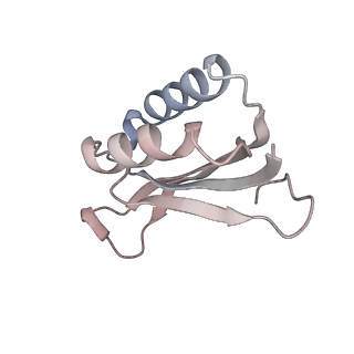 12916_7oi0_F_v1-0
E.coli delta rbfA pre-30S ribosomal subunit class D