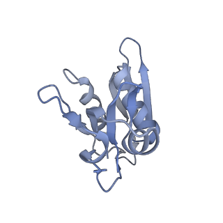 12916_7oi0_H_v1-0
E.coli delta rbfA pre-30S ribosomal subunit class D