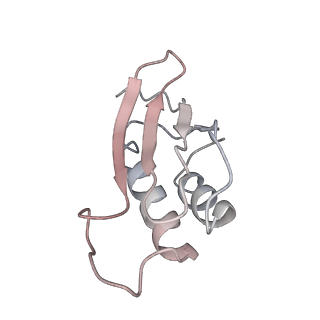 12916_7oi0_K_v1-0
E.coli delta rbfA pre-30S ribosomal subunit class D