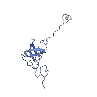 12916_7oi0_L_v1-0
E.coli delta rbfA pre-30S ribosomal subunit class D