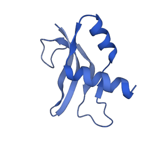 12916_7oi0_P_v1-0
E.coli delta rbfA pre-30S ribosomal subunit class D