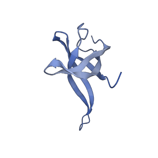 12916_7oi0_Q_v1-0
E.coli delta rbfA pre-30S ribosomal subunit class D