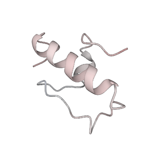 12916_7oi0_R_v1-0
E.coli delta rbfA pre-30S ribosomal subunit class D