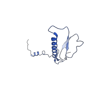 12920_7oi7_0_v1-0
Cryo-EM structure of late human 39S mitoribosome assembly intermediates, state 2