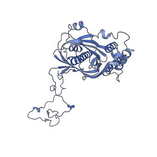 12920_7oi7_5_v1-0
Cryo-EM structure of late human 39S mitoribosome assembly intermediates, state 2