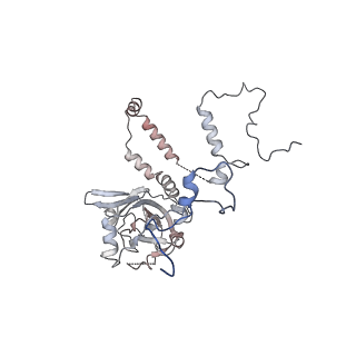 12920_7oi7_6_v1-0
Cryo-EM structure of late human 39S mitoribosome assembly intermediates, state 2
