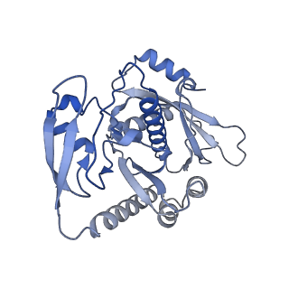 12920_7oi7_7_v1-0
Cryo-EM structure of late human 39S mitoribosome assembly intermediates, state 2