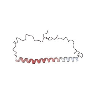12920_7oi7_8_v1-0
Cryo-EM structure of late human 39S mitoribosome assembly intermediates, state 2
