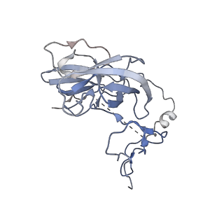 12920_7oi7_D_v1-0
Cryo-EM structure of late human 39S mitoribosome assembly intermediates, state 2
