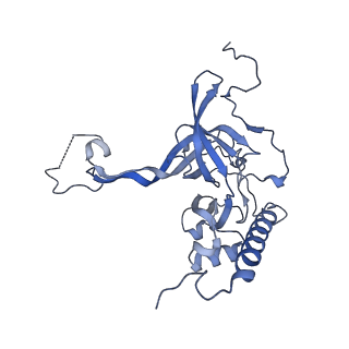 12920_7oi7_E_v1-0
Cryo-EM structure of late human 39S mitoribosome assembly intermediates, state 2
